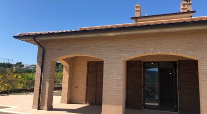House/villa 15 rooms of 384 sq m in Monteprandone (63076)