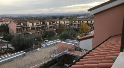 Apartment 7 rooms of 87 sq m in Montemarciano (60018)
