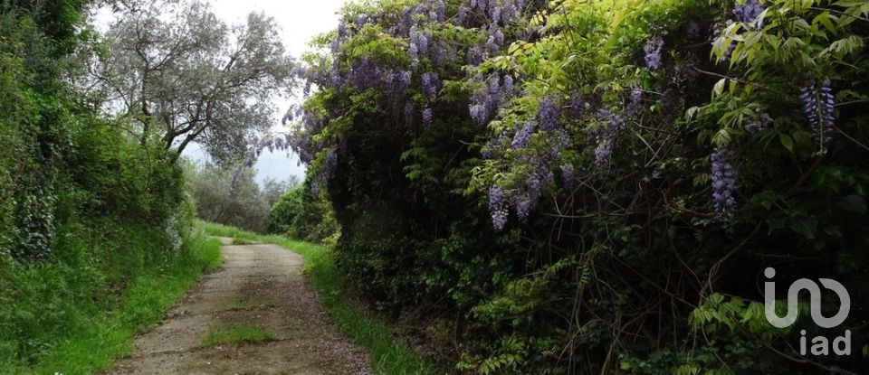 Casa indipendente 26 locali di 830 m² in Castelfranco di Sopra (52020)