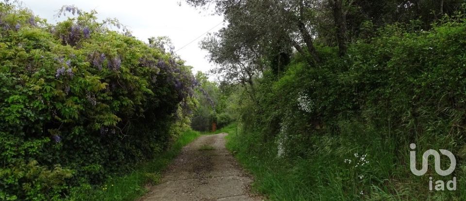 Casa indipendente 26 locali di 830 m² in Castelfranco di Sopra (52020)