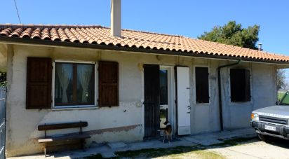 Casa 15 locali di 250 m² in Morro d'Alba (60030)