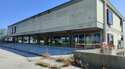 Varie superfici di 2.500 m² in San Benedetto del Tronto (63074)