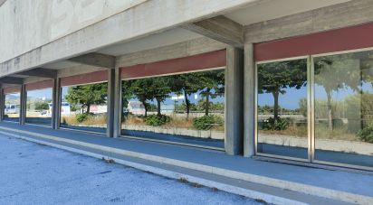 Various surfaces of 2,500 sq m in San Benedetto del Tronto (63074)