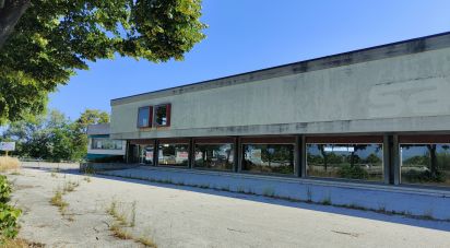 Varie superfici di 2.500 m² in San Benedetto del Tronto (63074)