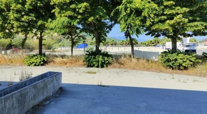 Varie superfici di 2.500 m² in San Benedetto del Tronto (63074)