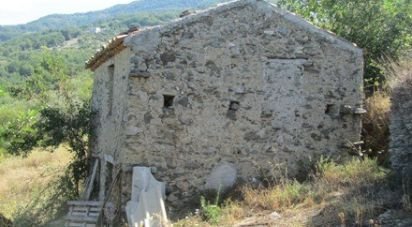 Village house 0 rooms of 150 sq m in Belmonte Calabro (87033)