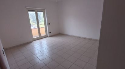 Quadrilocale di 87 m² a Amantea (87032)