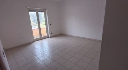Four-room apartment of 87 sq m in Amantea (87032)