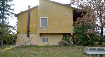 Town house 15 rooms of 400 sq m in Jesi (60035)