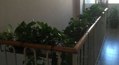 Bilocale di 43 m² a Torino (10141)