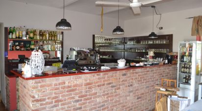 Pizzeria di 400 m² in Carmagnola (10022)