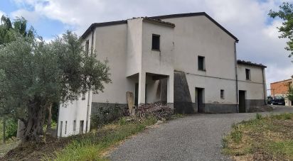 House/villa 13 rooms of 240 sq m in Amantea (87032)