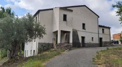 Casa indipendente / Villa 13 locali di 240 m² in Amantea (87032)