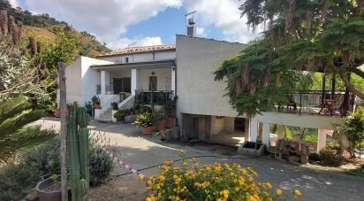House 13 rooms of 240 m² in Amantea (87032)