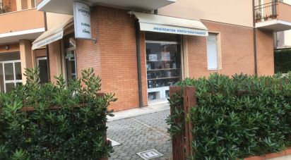 Negozio / locale commerciale di 59 m² in Senigallia (60019)