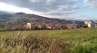 Terreno di 9.980 m² in Mendicino (87040)