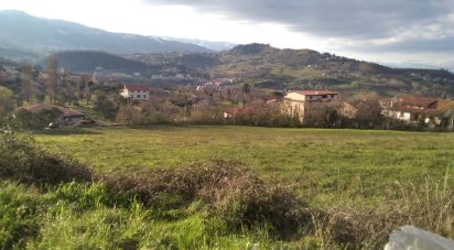 Terreno di 9.980 m² in Mendicino (87040)