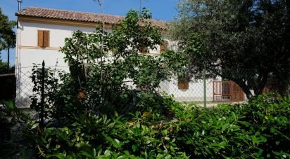 Casa 13 locali di 318 m² in Morro d'Alba (60030)