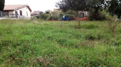 Building land of 4,810 m² in Cingoli (62011)
