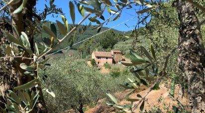 Casa indipendente / Villa 15 locali di 250 m² in Buti (56032)