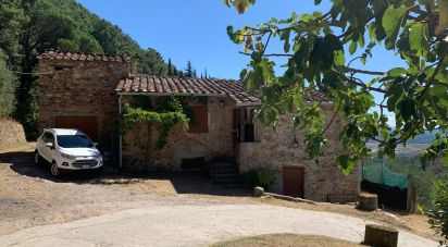 Casa indipendente / Villa 15 locali di 250 m² in Buti (56032)