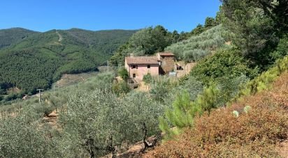 Casa indipendente / Villa 15 locali di 250 m² in Buti (56032)