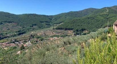 Casa indipendente / Villa 15 locali di 250 m² in Buti (56032)