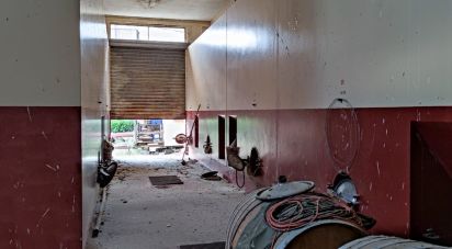 Warehouse of 1,200 m² in Cossignano (63067)