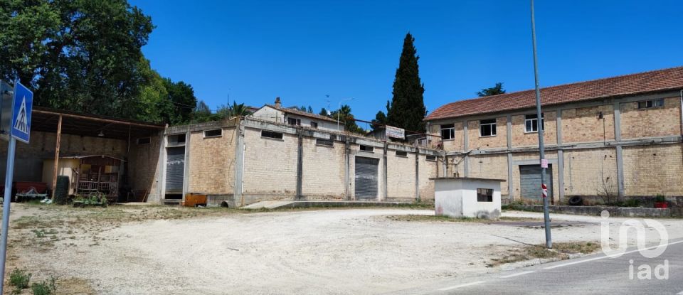 Warehouse of 1,200 m² in Cossignano (63067)