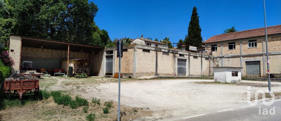Capannone di 1.200 m² in Cossignano (63067)