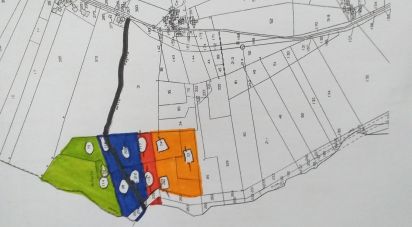Terreno di 120.000 m² in Morro d'Oro (64020)
