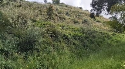 Terreno di 10.620 m² in Amantea (87032)