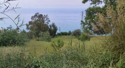 Terreno di 10.620 m² in Amantea (87032)