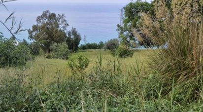Terreno di 10.620 m² in Amantea (87032)