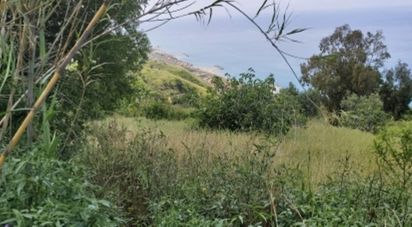 Terreno di 10.620 m² in Amantea (87032)