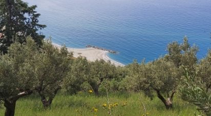 Terreno di 10.620 m² in Amantea (87032)