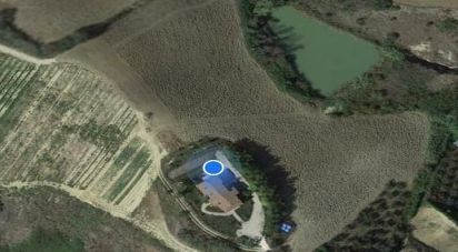 Casa indipendente / Villa 10 locali di 437 m² in Pineto (64025)