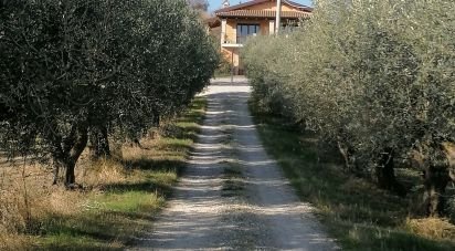 Casa indipendente / Villa 10 locali di 437 m² in Pineto (64025)