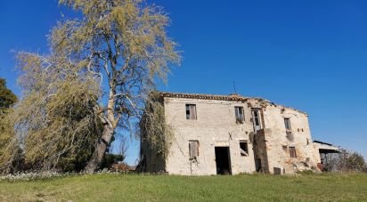 House/villa 0 rooms of 300 sq m in Cossignano (63067)