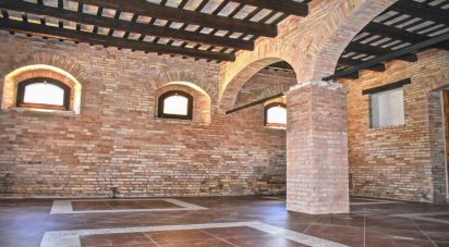 Attività locali di 570 m² in Treia (62010)