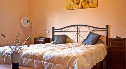 Attività locali di 570 m² in Treia (62010)