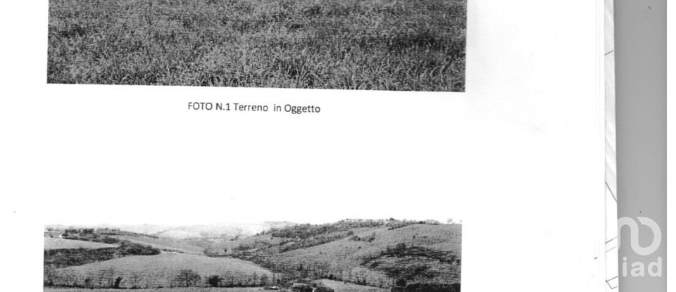 Land of 28,380 sq m in Filottrano (60024)