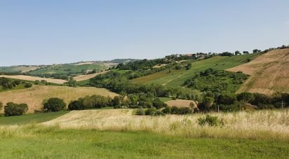 Land of 28,380 m² in Filottrano (60024)