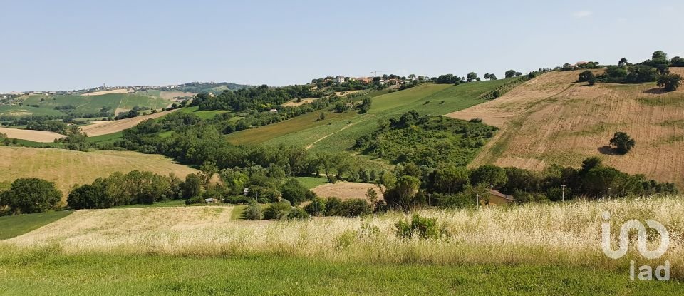 Land of 28,380 m² in Filottrano (60024)