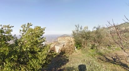 Building land of 800 sq m in Bucchianico (66011)