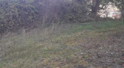 Building plot of 800 m² in Bucchianico (66011)
