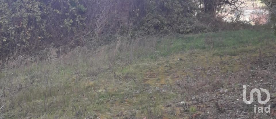 Terreno edificabile di 800 m² in Bucchianico (66011)