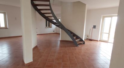 Town house 9 rooms of 241 sq m in Urbino (61029)