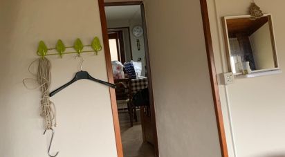 One-room apartment of 35 sq m in Serra d'Aiello (87030)