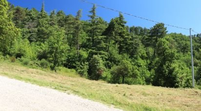 Terreno di 10.213 m² in Lisciano Niccone (06060)